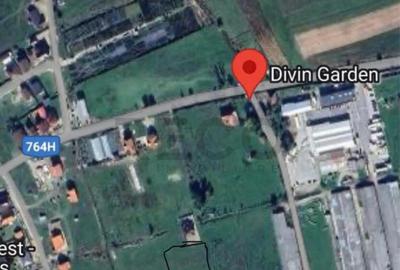 Reco Teren intravilan 600mp Beius