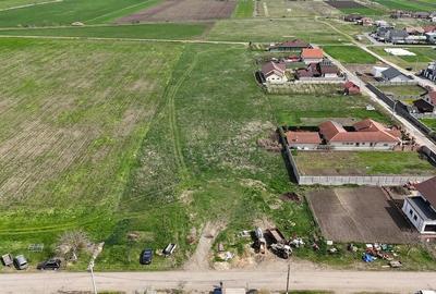 Teren de 12500 mp, în Livada - 2