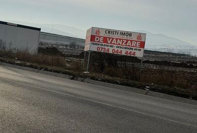 Teren de 10000 mp, în Nicolae Bălcescu - 11