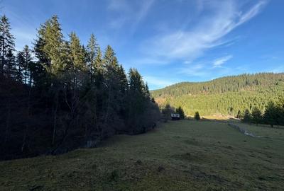 De vanzare 6850 mp pasune langa Manastirea Doroteia - Frasin /Plutonita - 15