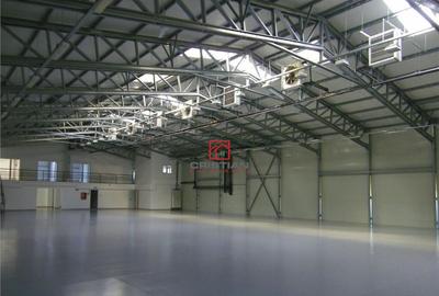 Depozit/hala/spatiu industrial Theodor Pallady - Drumul Int - 11