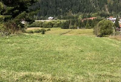 Spațiu comercial, în Șaru Dornei - 5