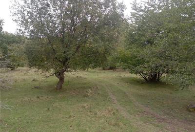 Teren de 16800 mp, în Central