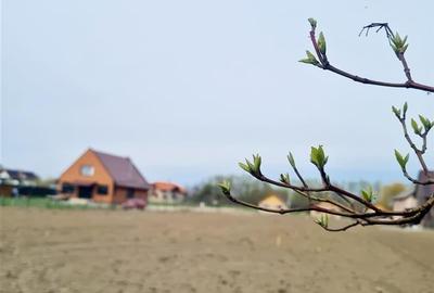 1.700mp intravilan,acces usor,intre case,ideal 2 locuinte/investitie,Lunca Calni - 2