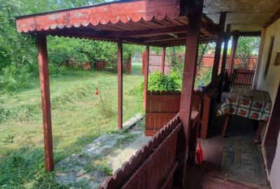Casă cu 3 camere în Făgețelu - 7