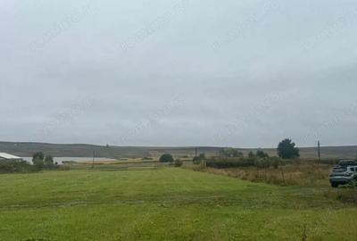 Vanzare 10.000 mp teren Liteni Suceava- la strada -potrivit proiect fonduri - 18