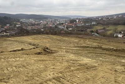 Teren de 1000 mp, în Livezeni - 3
