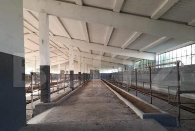 Teren de 950000 mp, în Central - 10