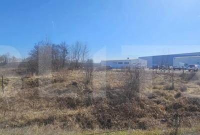 Teren de 3500 mp, în Sântuhalm - 5