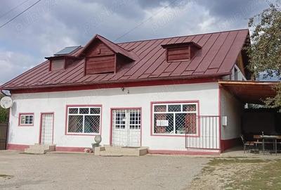 Spa?iu comercial de inchiriat - Voroveni, Davide?ti. - 2