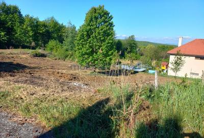 Teren autorizat Faget / Zona Vila Tusa / PUZ Aprobat - 2