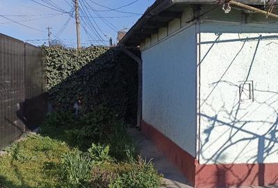 Casă individuală cu 4 camere cu Canalizare în Viile Noi - 4