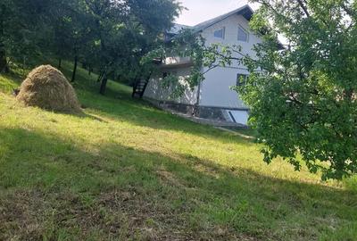 Casa de vanzare in Poiana Campina Casa de vanzare in Poiana Campina - 2