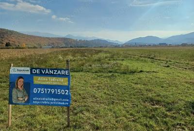 Teren de vanzare pentru constructii case 1 hectar - 2