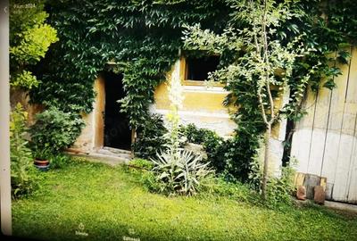 De vanzare casa in Buzad- 709 De vanzare casa in Buzad- 709 - 18