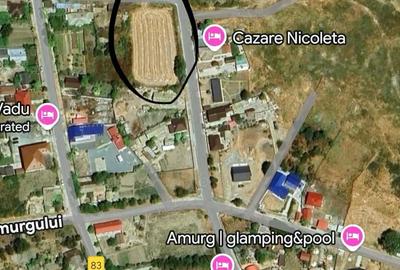 Teren de 2500 mp, în Vadu - 2