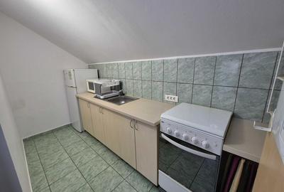 Apartament cu 1 camera la curte comuna, zona Chisoda - 4