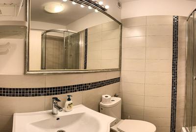 Studio dotat si utilat in Pipera, conditii premium - 10