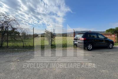 Teren Construcții intravilan de 5841 mp, în Cetate - 1