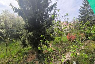 Garsonieră decomandată în Gruia - 10