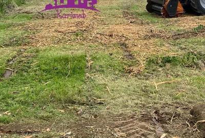 Teren extravilan zona Episcopia - 1