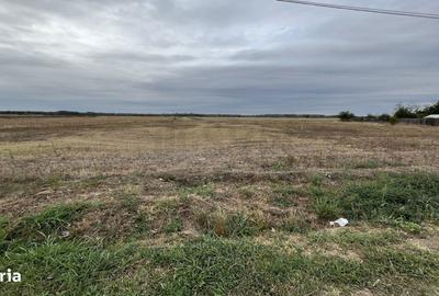 Teren de 6000 mp, în Petrești - 1