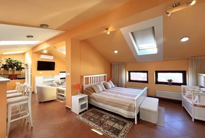 Apartament cu 2 camere semidecomandat, mobilat în Dorobanți - 4