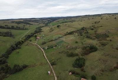 Teren de 65 mp, în Sud - 6