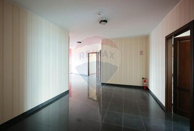 Hala, magazin si birouri de Inchiriat, Zona Metro, Su=1549mp - 33