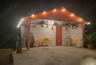 Casă cu 1 camere cu Teren 2665 Mp în Exterior Vest - 4