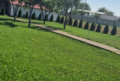 Casă cu 6 camere în Letea Veche - 5