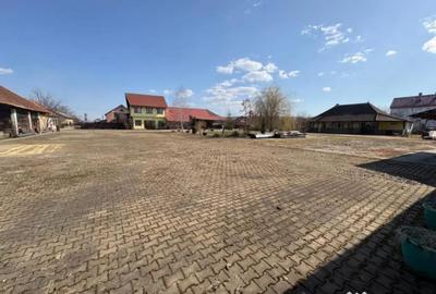 Teren în Ocna Șugatag - 1