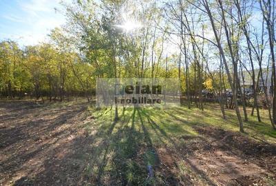 Snagov Ciofliceni - Teren 716 mp, d 30 m, gaz, curent, asfalt, padure Snagov Ciofliceni - Teren 716 mp, d 30 m, gaz, curent, asfalt, padure - 1