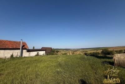 Teren Construcții intravilan de 3255 mp, în Tășad - 4