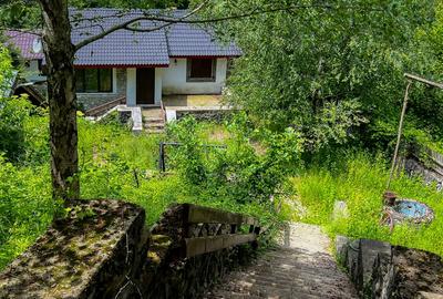 Casuta de vacanta in mijlocul naturii cu piscina - 14