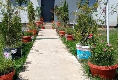 Casă cu 3 camere în Albești - 8