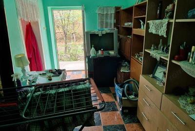 De vanzare casa Carani + teren 2085 mp- 697 - 9