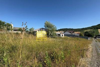 Teren intravilan Budiu Mic