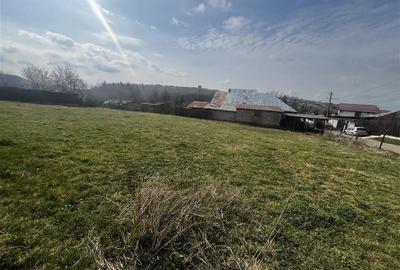 Teren 1630 mp intravilan in Baicoi, zona Dambu. - 10