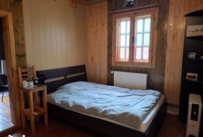 Casă cu 5 camere cu Teren 7017 Mp în Drajna - 4