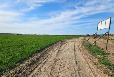 Teren Construcții extravilan de 7569 mp, în Afumați - 2