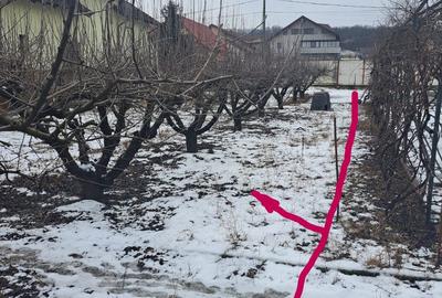 Teren de 540 mp, în Negru Vodă - 1