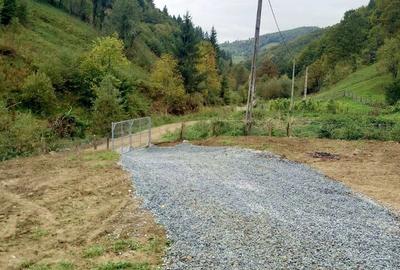 Casa de vanzare in Bistra -3800 mp teren - 8