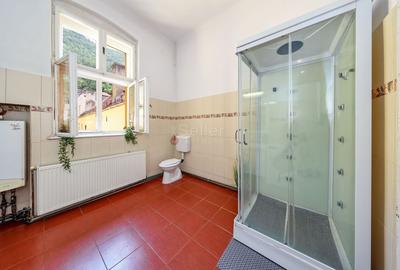 Zona Centrala Structura Generoasa - 21