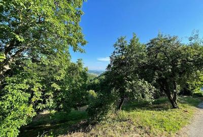 Teren de 9409 mp, în Roșia - 9
