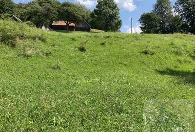 Teren intravilan de vanzare, cu vedere catre Castelul Bran - 3