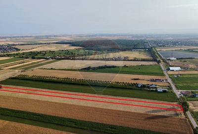 Teren agricol intravilan de 7830 mp, în Vânători - 2