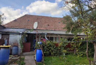 Casa de vanzare in Sabed Casa de vanzare in Sabed - 3