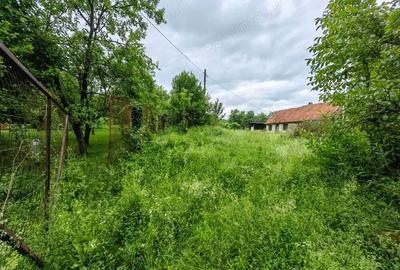 Teren intravilan 18.645 mp in Satul Santamaria de Piatra (sat apartinator Orasului Calan) din Jud HD - 6