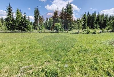 Teren 19,370mp Neagra Sarului / Strada Sestina - 6